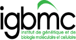 IGBMC